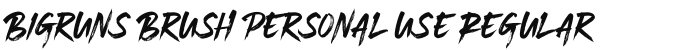 Bigruns Brush personal use Regular